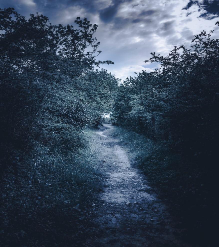le chemin